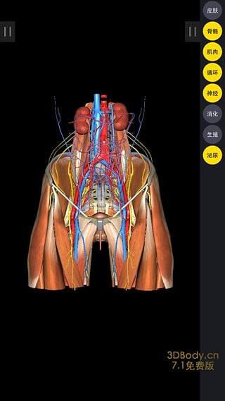 3Dbody解剖电脑版截图