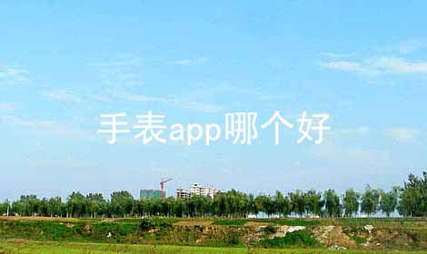 手表app哪个好