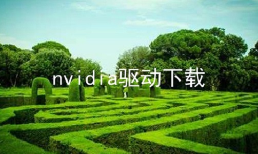 nvidia驱动下载