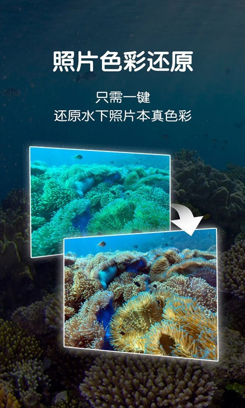 Dive+软件截图2