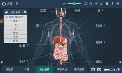 人体解剖3D模型软件截图0