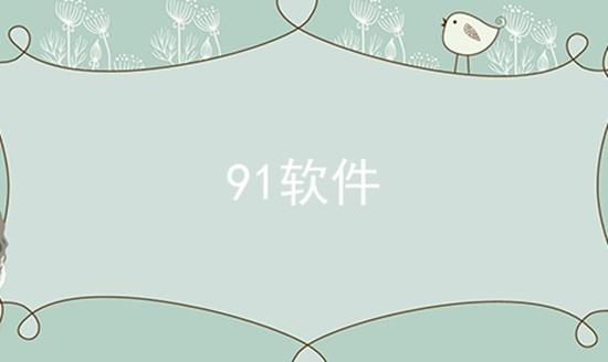 91软件