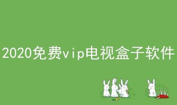 2024免费vip电视盒子软件