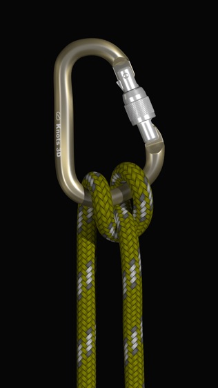 Knots 3D (3D绳结)软件截图1