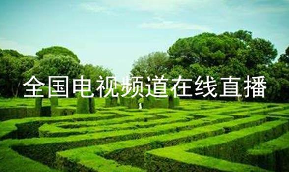 全国电视频道在线直播