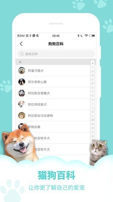 人狗人猫交流器软件截图3