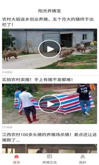 阳光养猪宝软件截图0