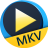 Aiseesoft Free MKV Player(MKV播放器)