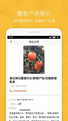 宁夏农产品信息网软件截图2