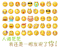 小黄豆表情包下载