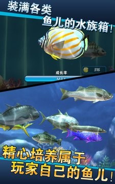 Ace fishing软件截图2