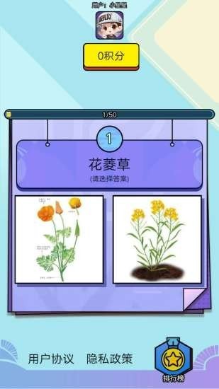 爱上鲜花软件截图1