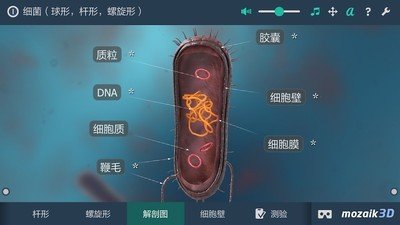 细菌互动教育3D软件截图2