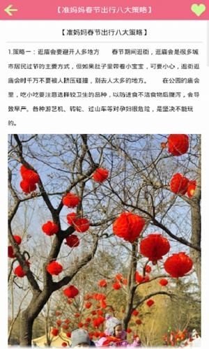 准妈妈课堂软件截图1