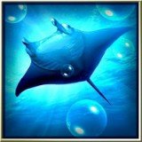 Ocean HD(高清海底世界)软件截图0