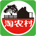 淘农村