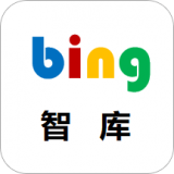 bing智库