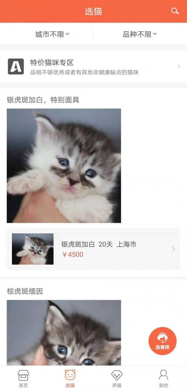 家连猫舍软件截图0