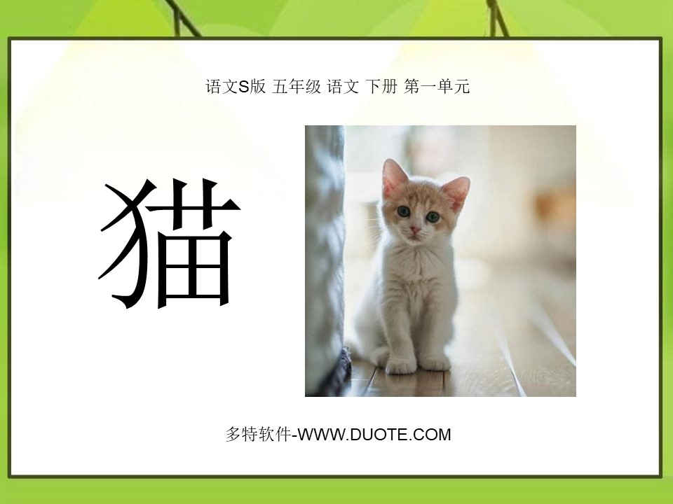 《猫》PPT课件6下载