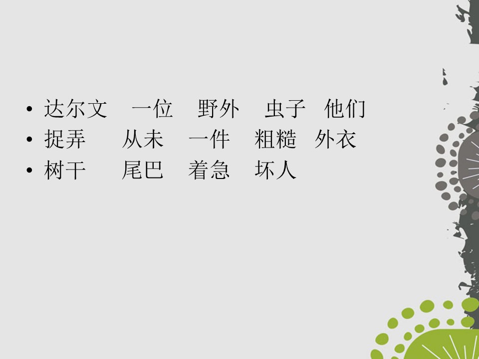 《达尔文和小松鼠》PPT课件6下载