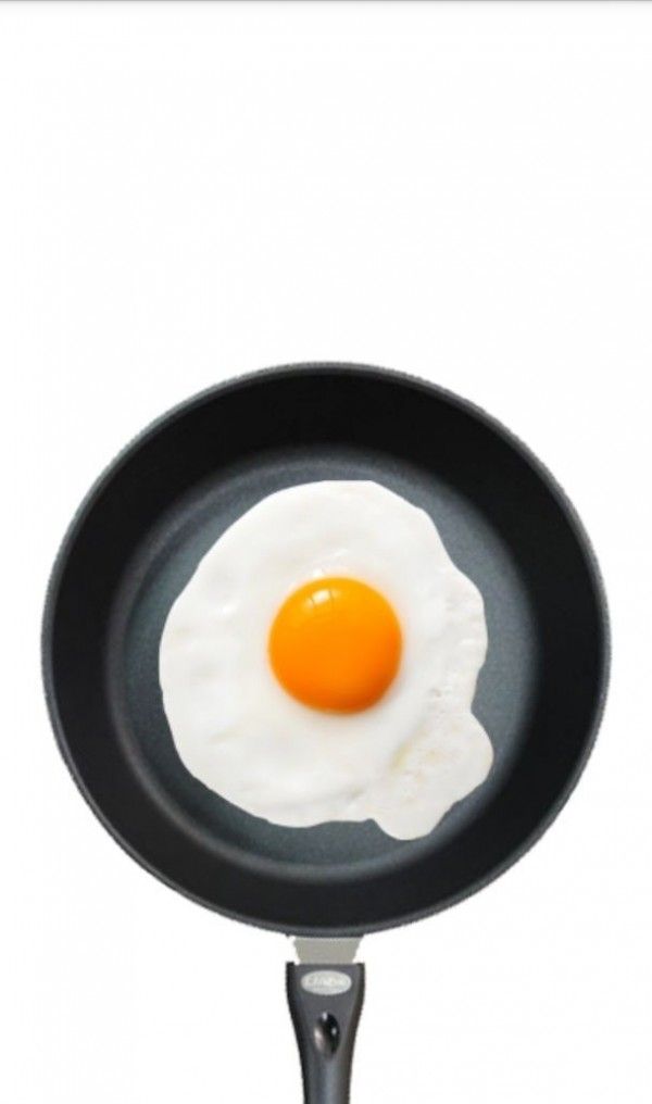 Fried Egg软件截图2