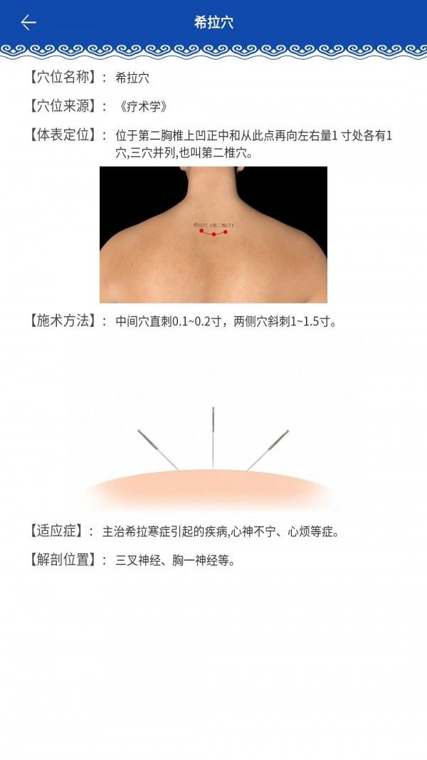 蒙医穴位标准化信息系统软件截图2