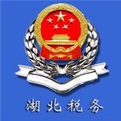 湖北省税务局(网上税务局)