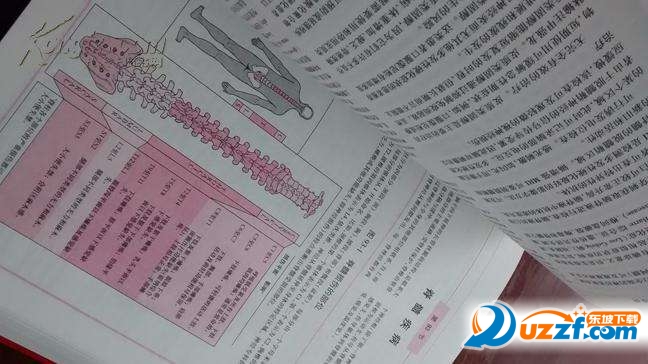 默克家庭医学手册pdf高清无水印版下载