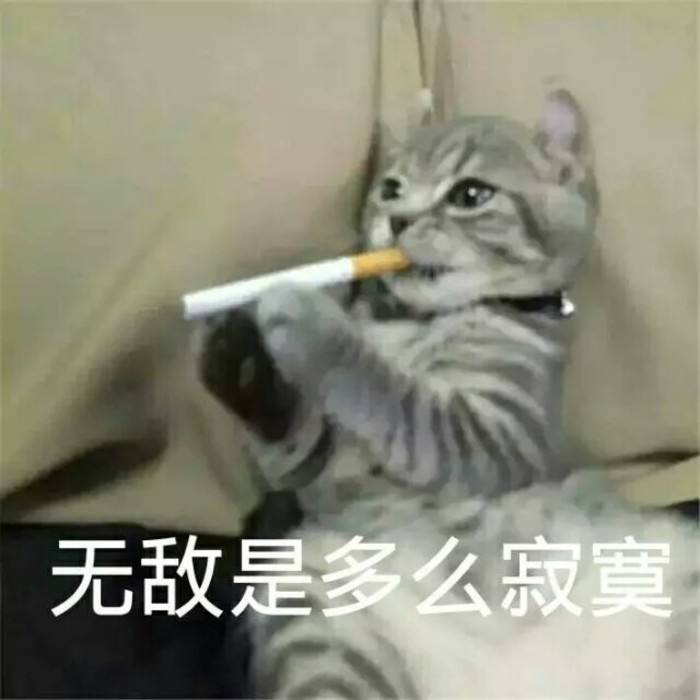 猫咪表情包