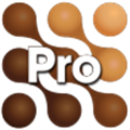 Mocha Pro(平面跟踪软件)