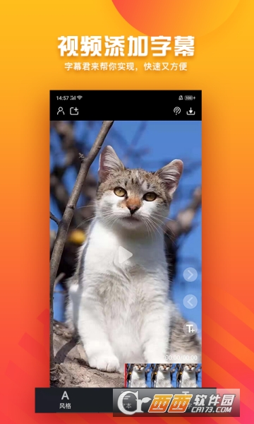 字幕君软件截图1