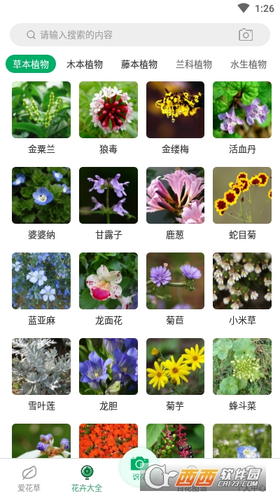 花草识别软件截图1