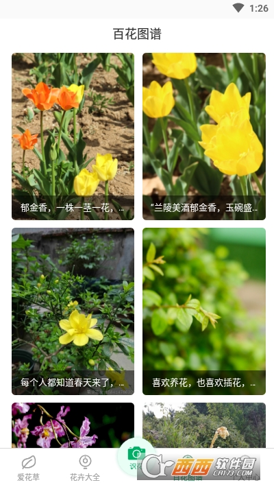 花草识别软件截图2