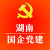 湖南国企党建网