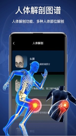 3d人体模型软件手机版软件截图2