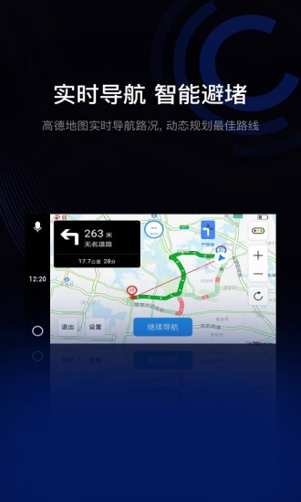 驾驶伴侣软件截图1