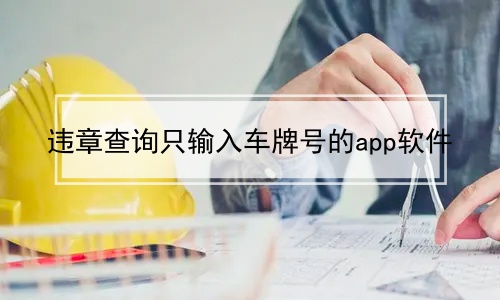 违章查询只输入车牌号的app软件