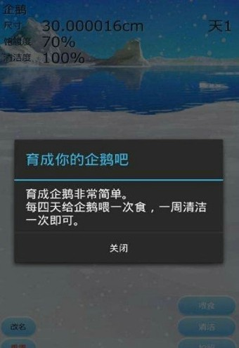 治愈的养成企鹅游戏汉化版软件截图3