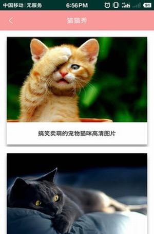 爱猫咪软件截图0