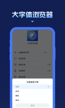 大字体浏览器软件截图2