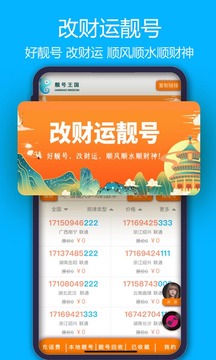 靓号王国软件截图1