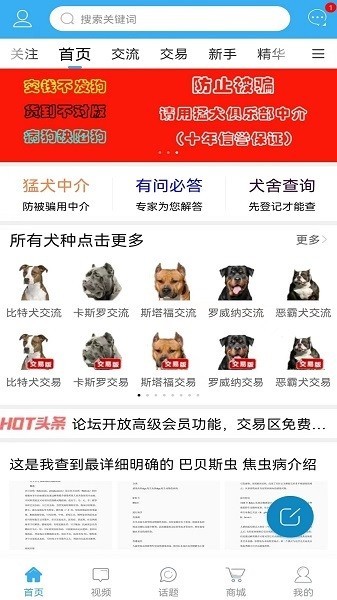 猛犬俱乐部交易区软件截图2