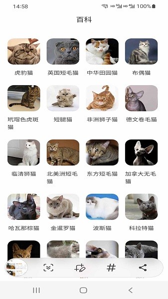 小猫先生软件app软件截图2