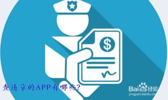 违章查询app排行榜