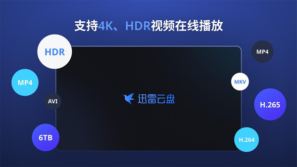 迅雷云盘tv版软件截图0