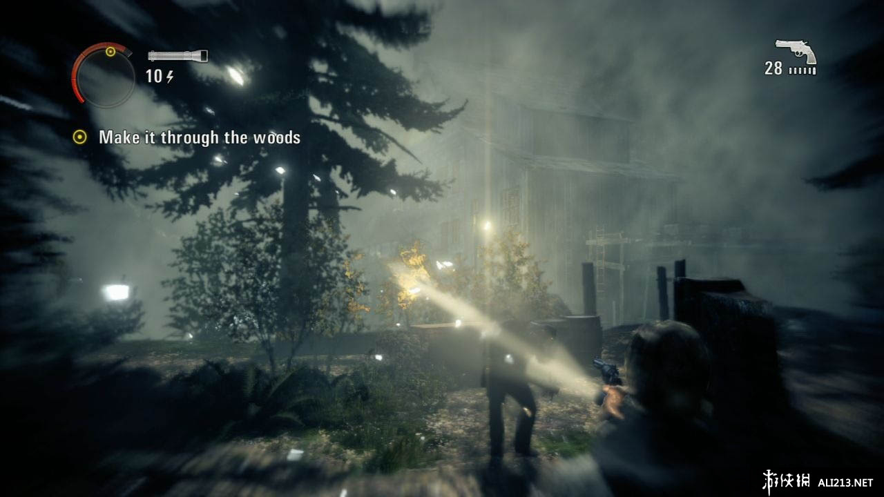 心灵杀手/阿兰醒醒（Alan Wake）v1.02.16.4261十八项修改器下载