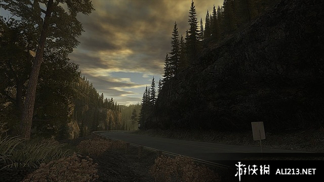 心灵杀手/阿兰醒醒（Alan Wake）v1.02.16.4261十二项修改器下载