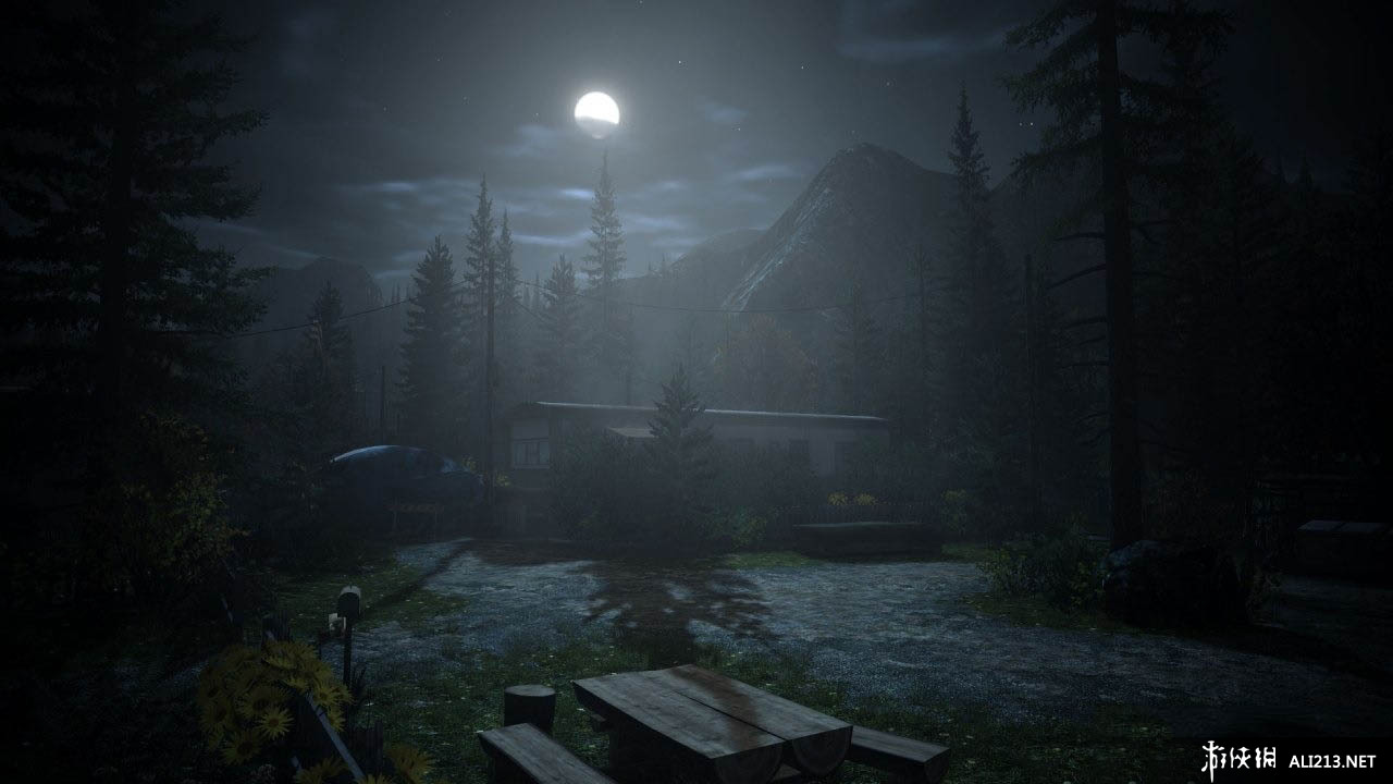 心灵杀手/阿兰醒醒（Alan Wake）v1.01.16.3292十八项修改器[修复]下载