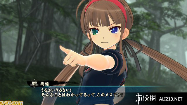 闪乱神乐：少女们的证明（Senran Kagura: Shinovi Versus）v1.0五项修改下载