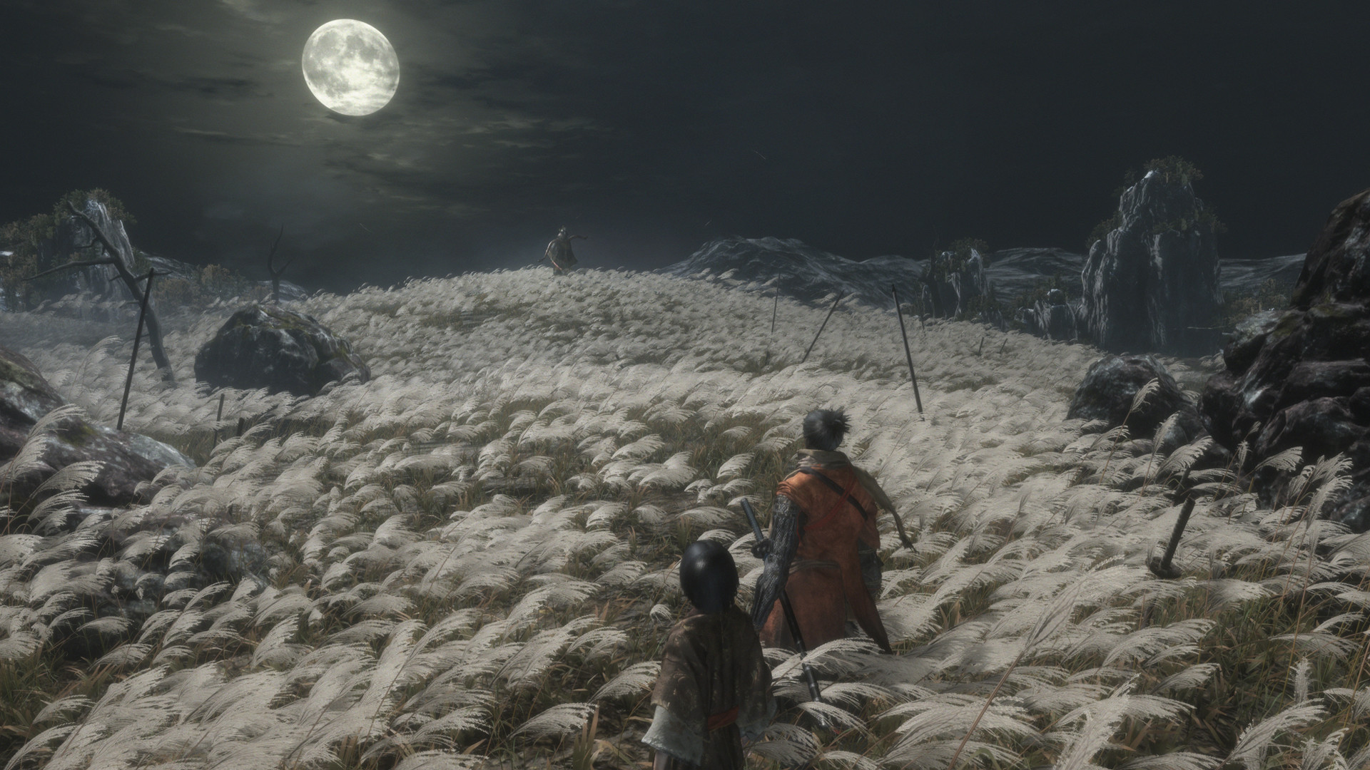 只狼：影逝二度（Sekiro: Shadows Die Twice）我的名字MOD下载